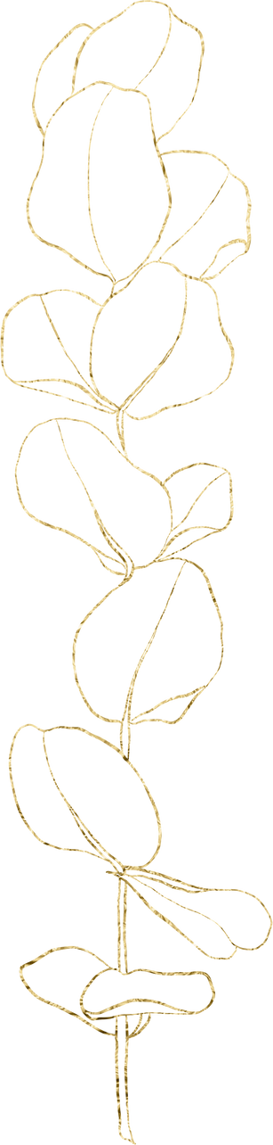 Eucalyptus Gold Line Art